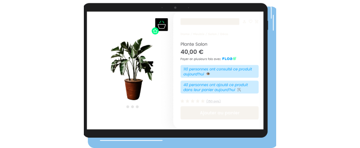 displaying views and/or sales of products so as to reinforce Social Proof